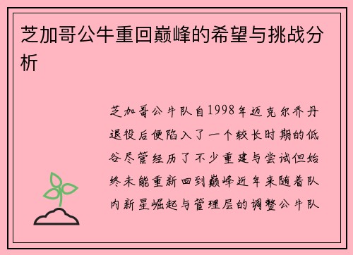 芝加哥公牛重回巅峰的希望与挑战分析